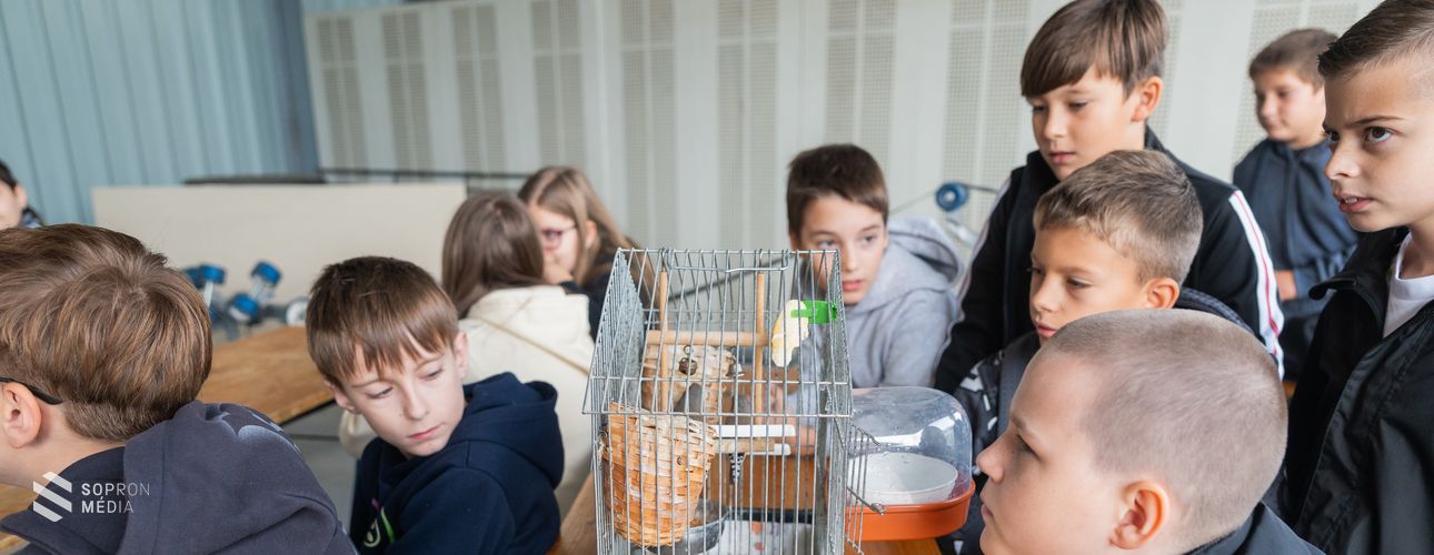 A közelgő állatok világnapja alkalmából tartottak rendhagyó állatvédelmi programot a Soproni Rendőrkapitányságon