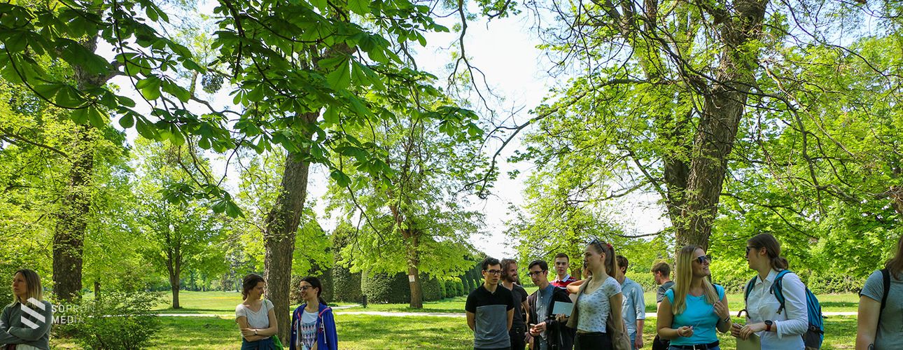 Kertművészeti flashmob  az Esterházy-kastélyparkban