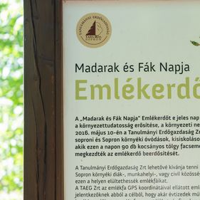 10 éves a Madarak és Fák Napja Emlékerdő Sopronban - elültették az utolsó meggyfát