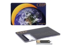 Fish kártya pendrive