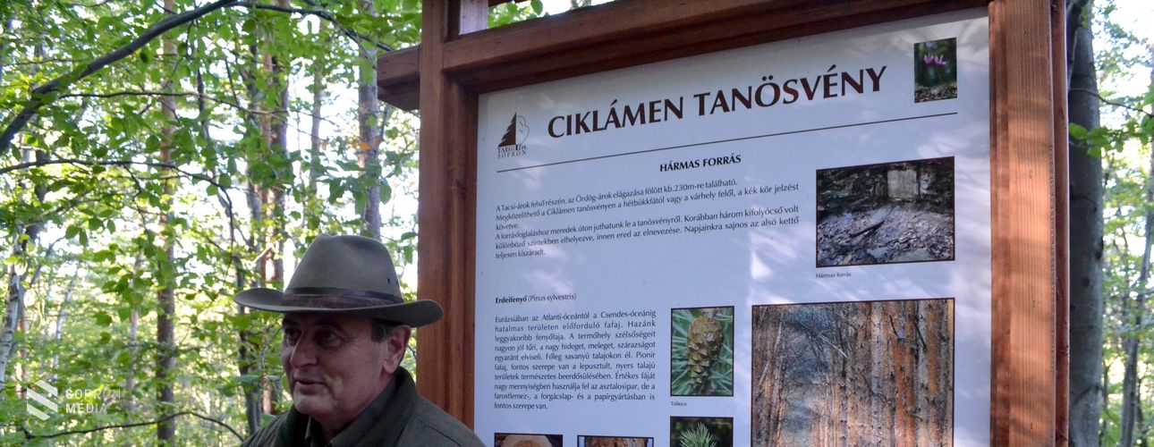 Parkerdő a közjó érdekében