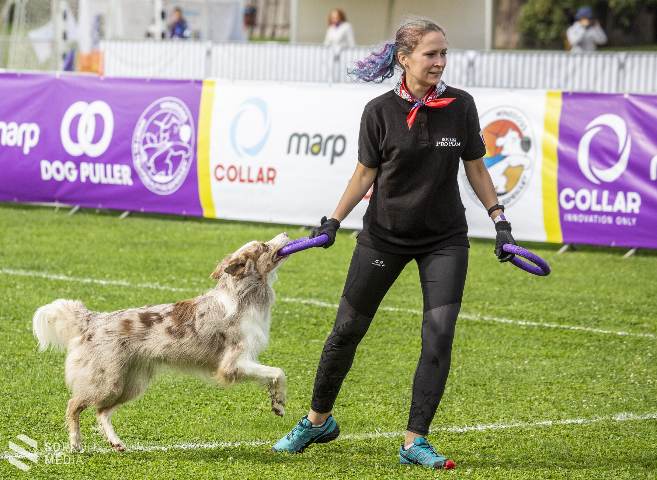 II. Dog Puller Világbajnokság