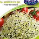 BIOMAG Póréhagyma 15 g csíráztatásra termék képe