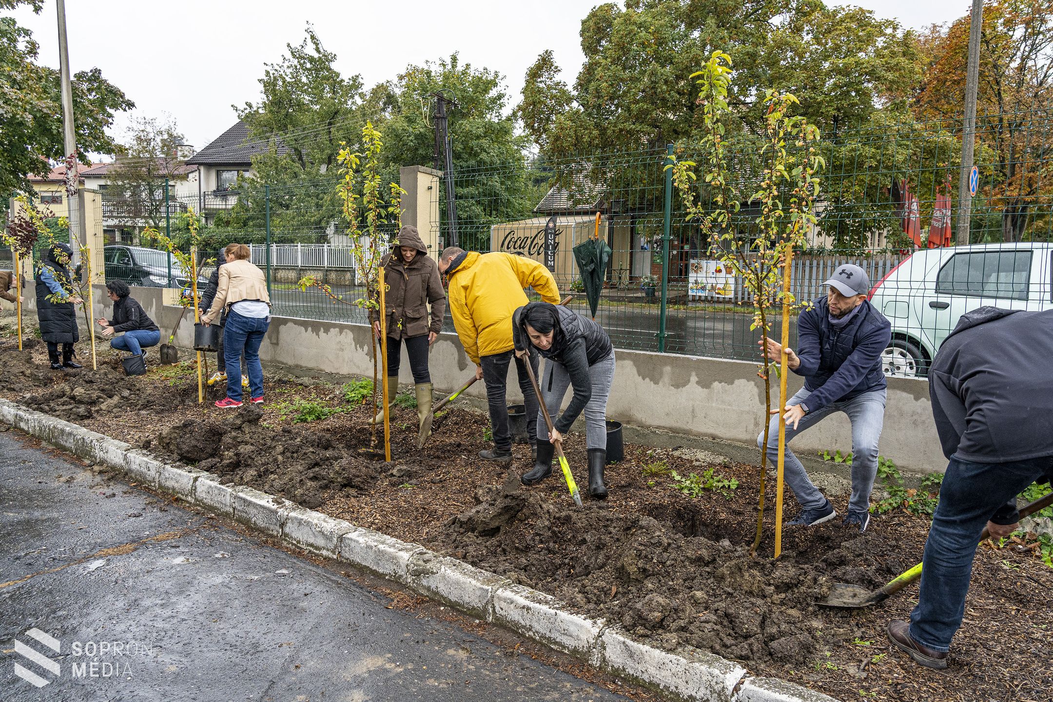 GYSEV jubileum – 150 fát ültet el vonalhálózata mentén a vasúttársaság