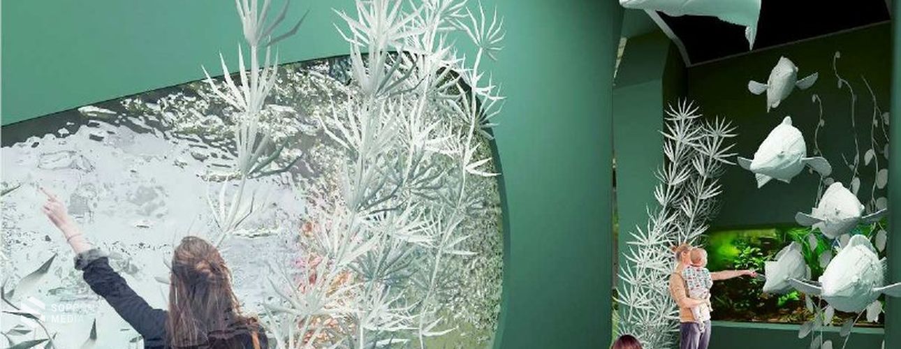 Ökocentrum: az élményalapú környezeti nevelés színes tárháza