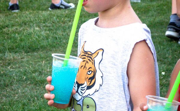 35. Kónyi Falunap, 2025. augusztus 9. Délután, 1. rész