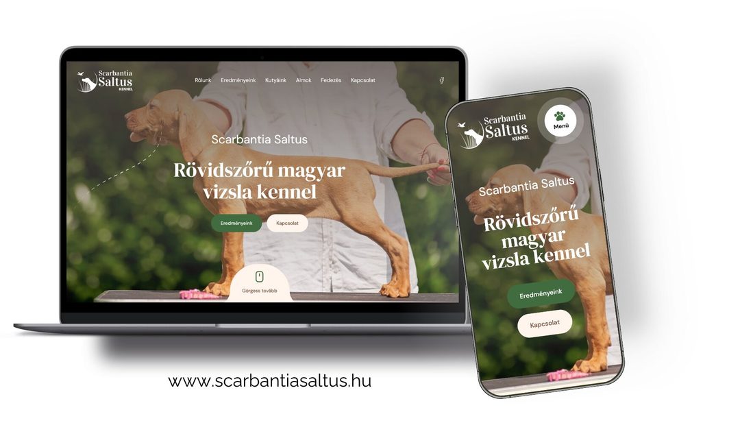 A Scarbantia Saltus új weboldala laptopon és mobilon: „Rövidszőrű magyar vizsla kennel” nyitókép egy vizslával