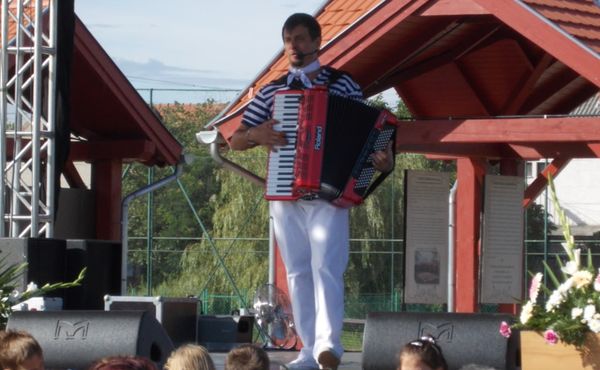 23. Falunap 2012. augusztus 11.