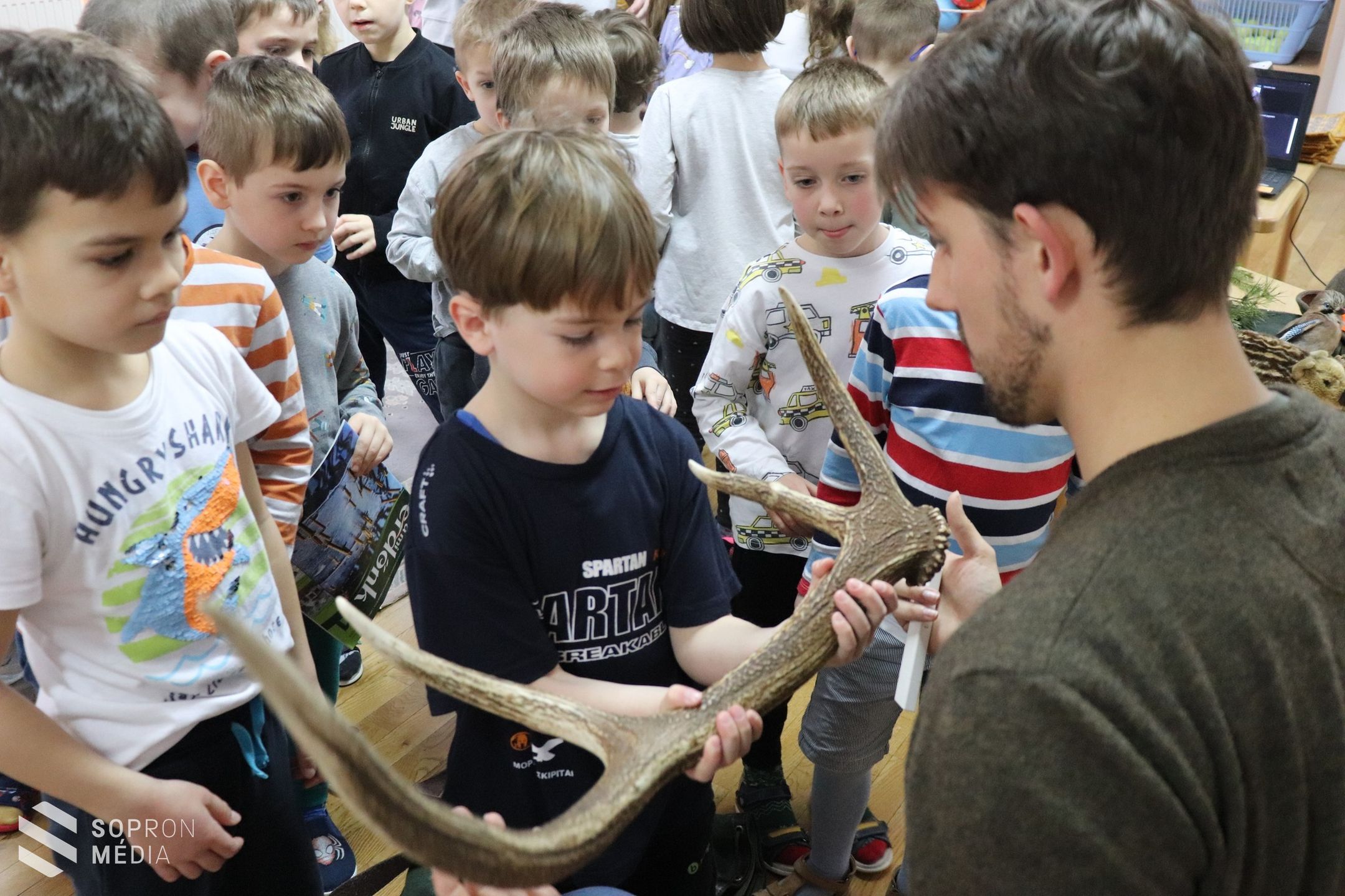 Óvodába ment az erdő