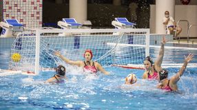 Magyar művésszel indítja NFT programját a FINA