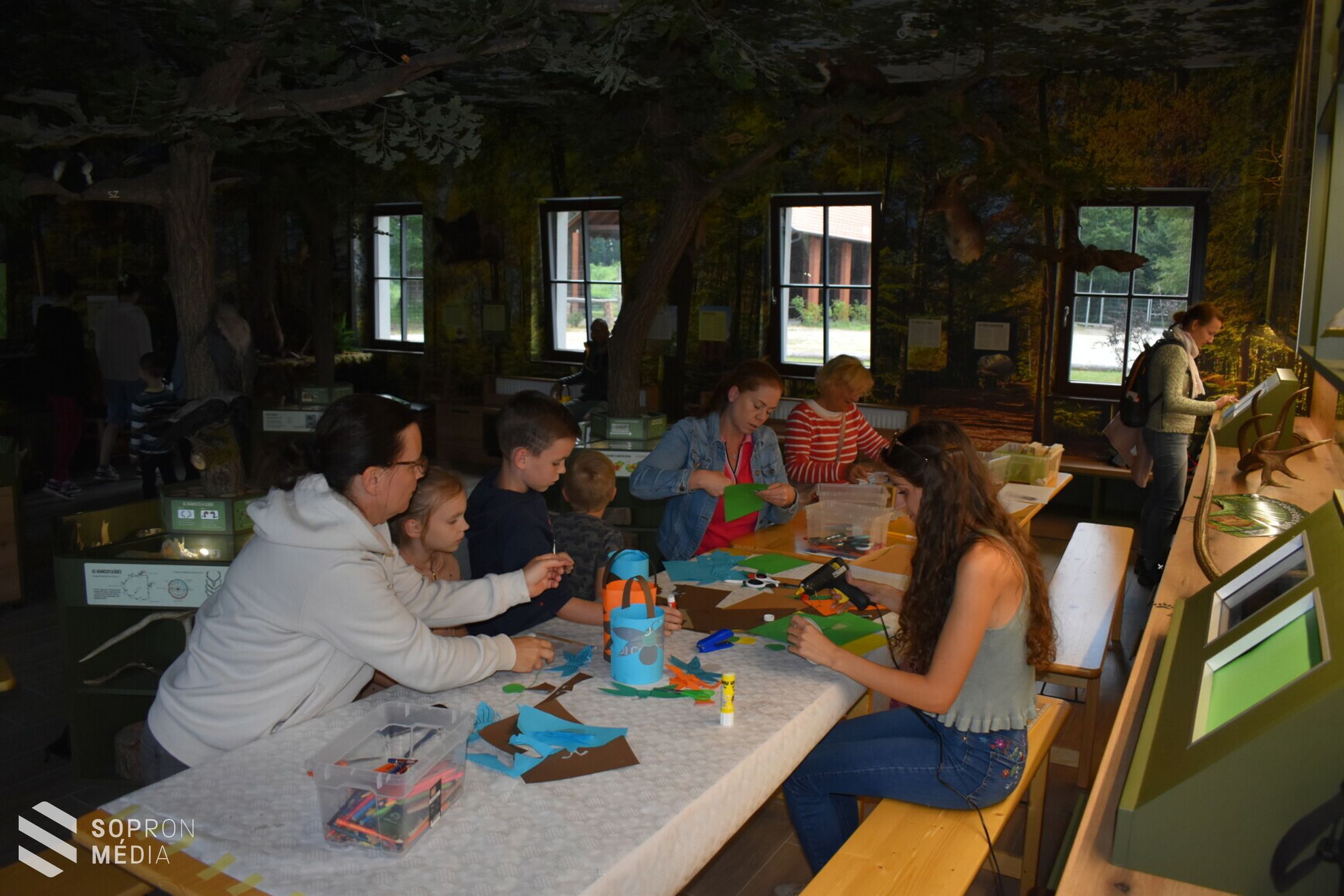 A Múzeumok Éjszakáján érdemes volt ellátogatni az Erdő Házába