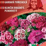 NM. Törökszegfű, színkeverék 2 g termék képe