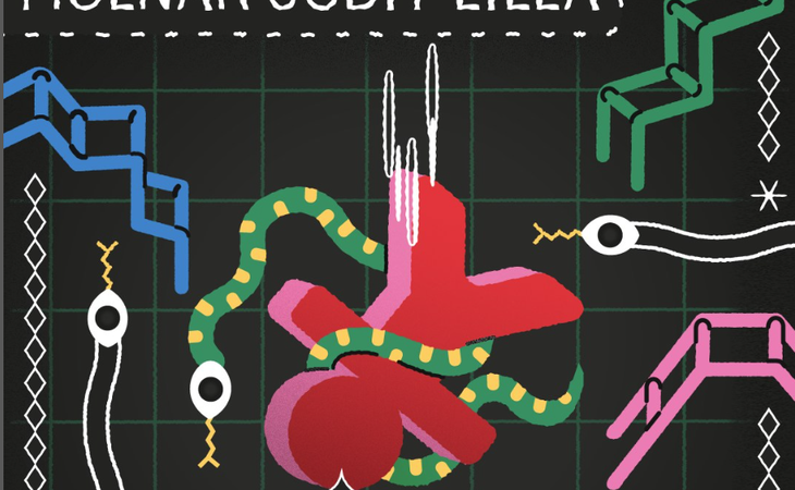 Kígyók és Létrák – a társadalmi mobilitás és az életutak metaforái