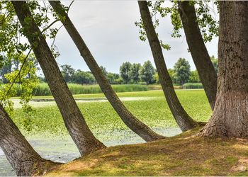 Dél-borsodi települések