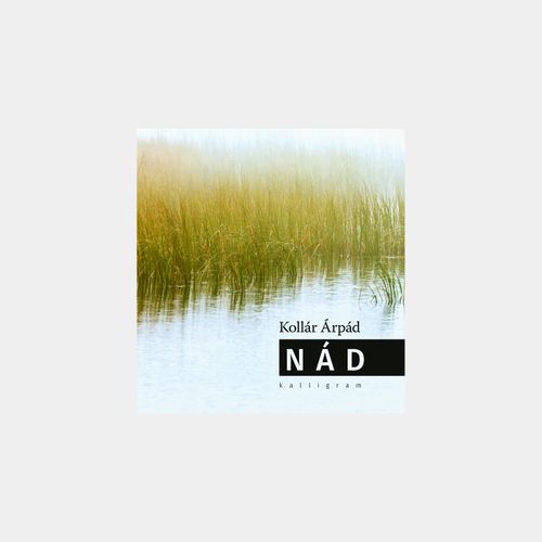 Nád