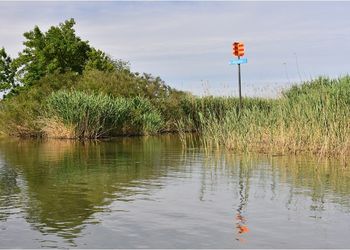 Tisza-tavi Madárrezervátum