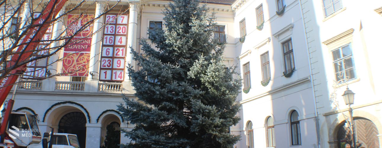 Felállították Sopron idei fenyőfáját a Fő téren (sok fotó)
