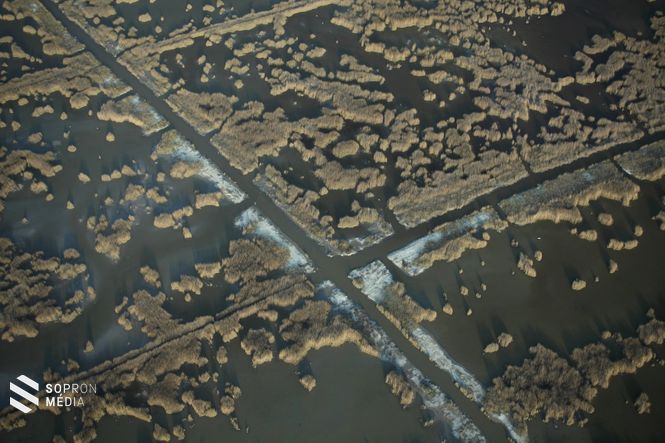 A bejegyzésben kiemelték: a tartósan szárazon álló csatornapartokon a sziksó kivirágzik. A szürke szín jelzi a hamarosan kiszáradó mederrészeket.