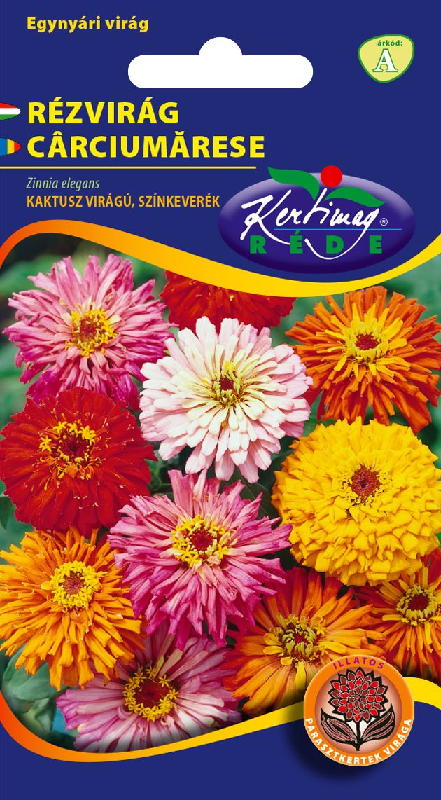 Legényvirág (Rézvirág) Kaktusz virágú sz. 1 g termék képe