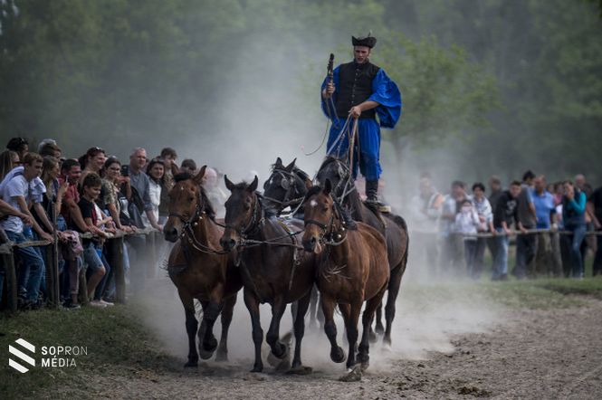 A pünkösdi királyválasztás hagyományának felelevenítése. Solt, 2020.06.01.