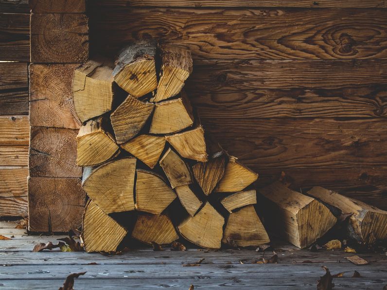 Nébih: csalók kínálnak fát a tuzifanagyker.hu oldalon