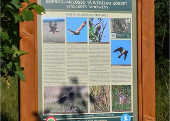 Borsodi Mezőség Tájvédelmi Körzet