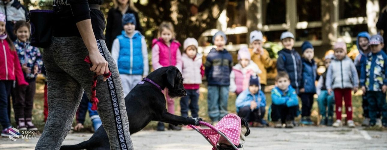 A kutya és gazdája közötti harmonikus kapcsolatért