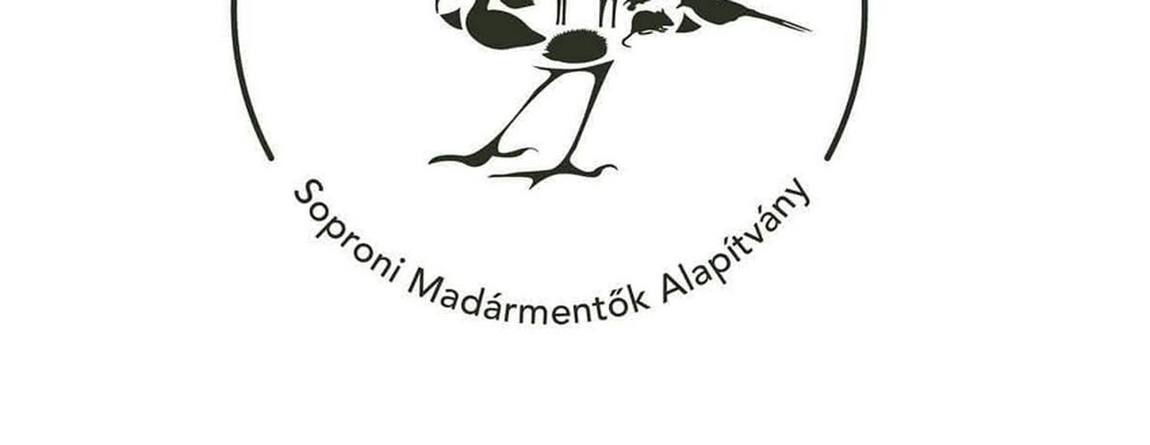 Mert az angyaloknak is van arcuk - Fotópályázat a Soproni Madármentő Alapítványnál