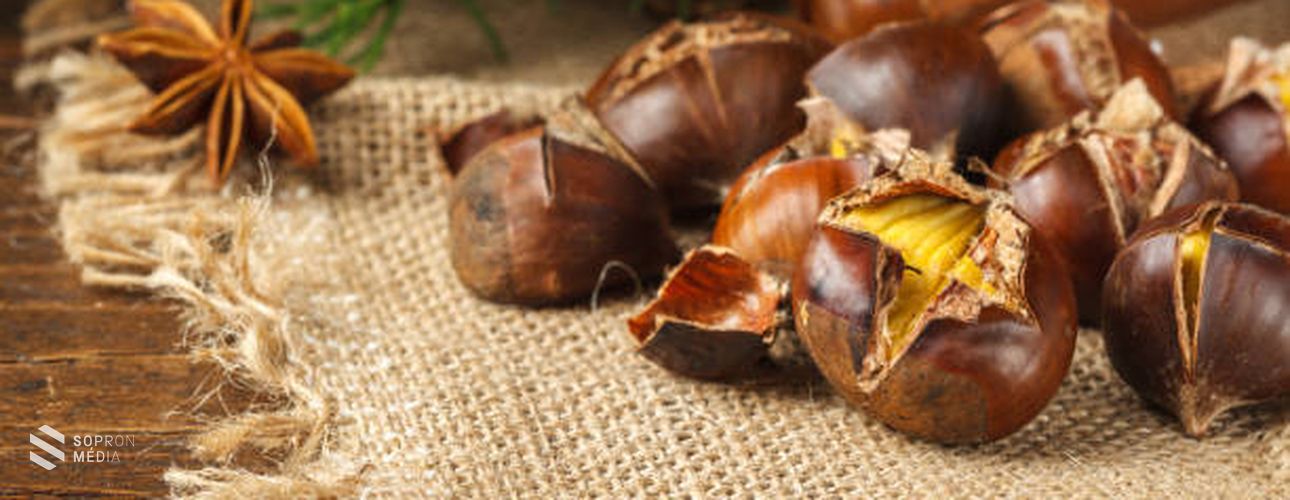 Gesztenye régen és most