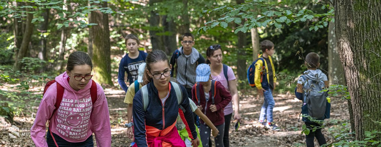 Népszerű az erdei iskola természetjáró tábora