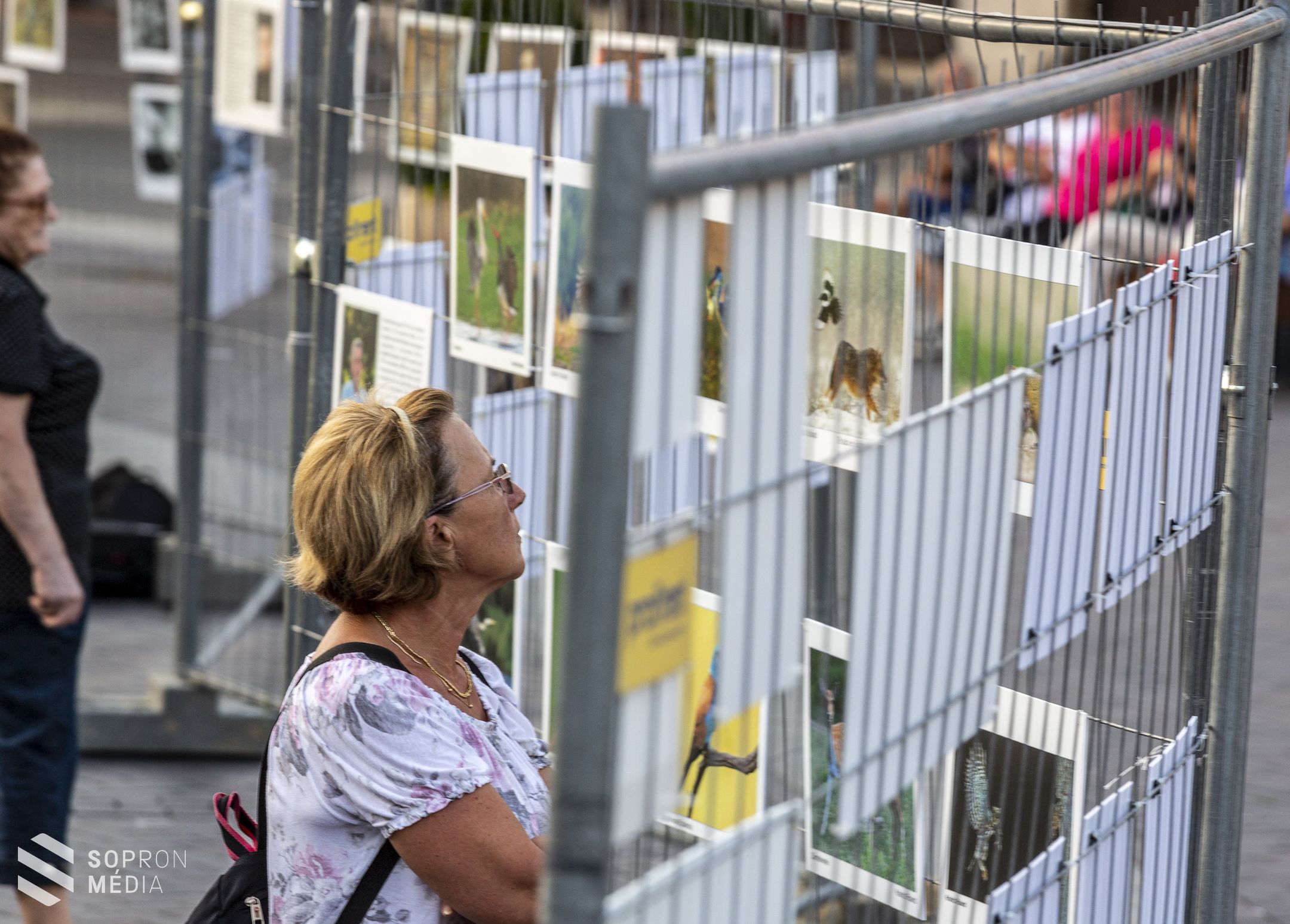Szabadtéri fotókiállítás a Várkerületen