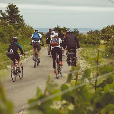 Fertő tó félkör 2026 60km