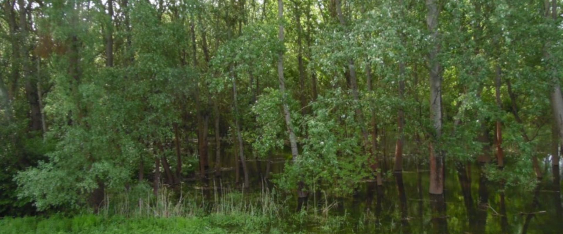 Agrofil-SZMI Kft.