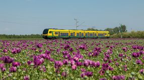 Kirándulók, figyelem! A Fertő-táj vonatokat is érinti a vágányzár!