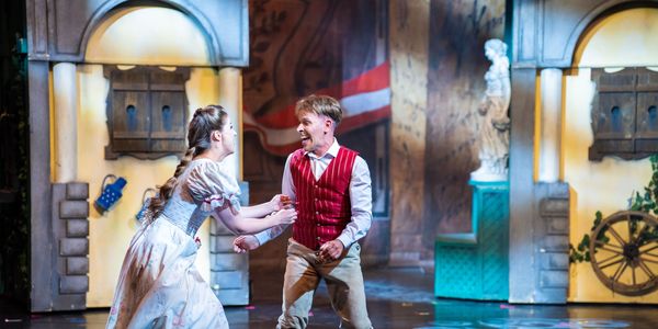 Sissi, a magyar királyné