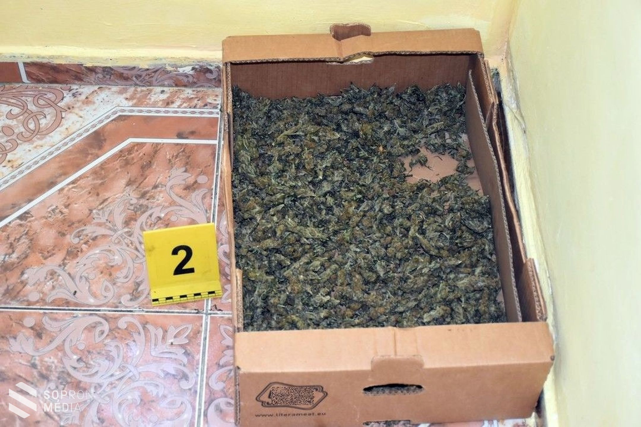 Marihuana-ültetvényt számoltak fel a soproni nyomozók