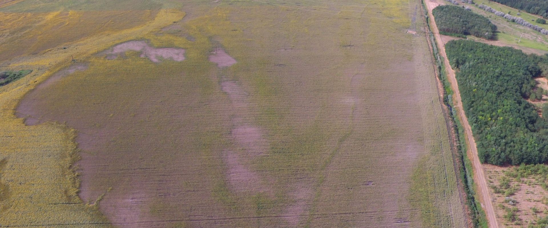 Agrofil-SZMI Kft.