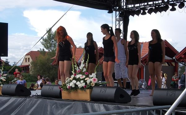 23. Falunap 2012. augusztus 11.