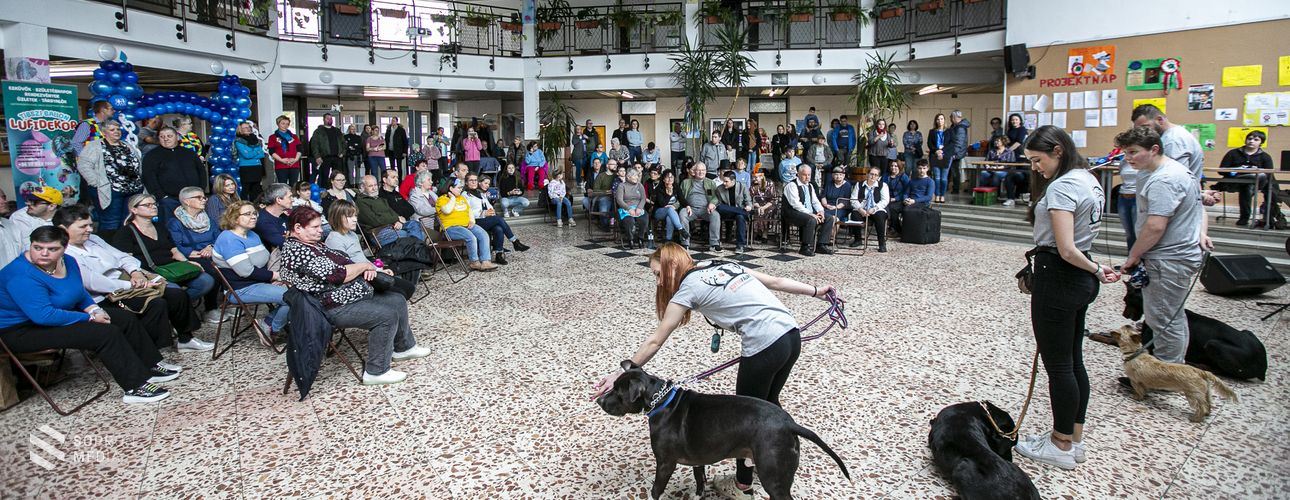 Családi nappal záródott az Autitok Egyesület hétvégi rendezvénysorozata
