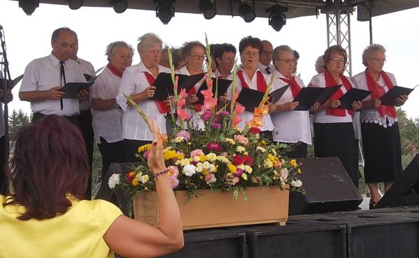 24. Falunap 2013. augusztus 10.