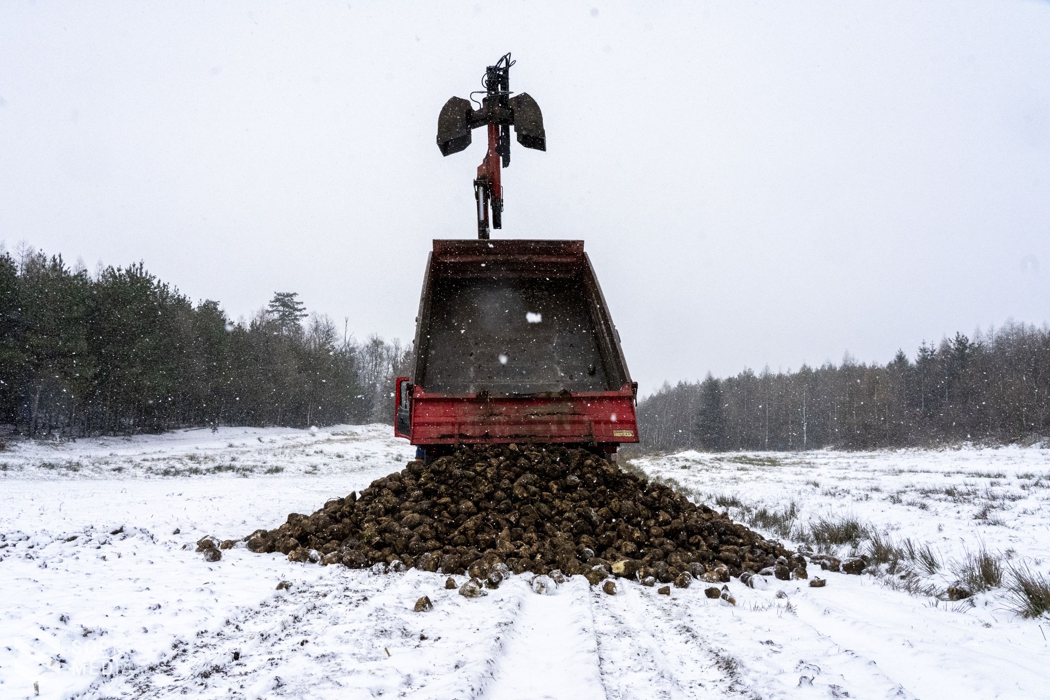 Kiemelt szerepe van télen a vadak etetésének