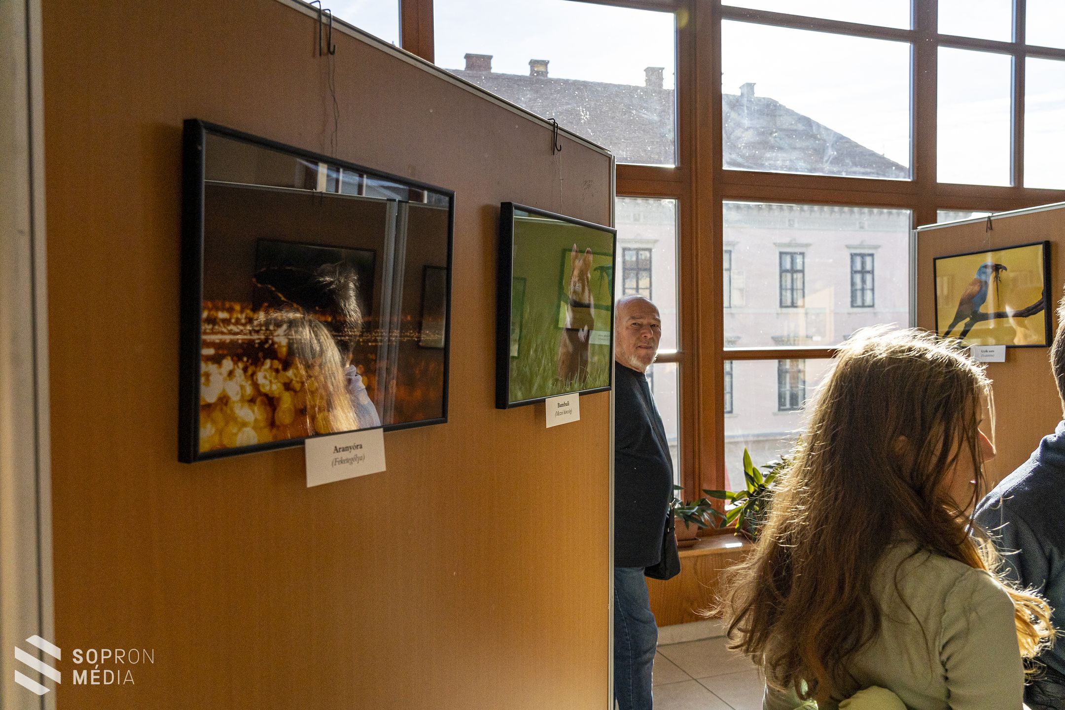 Megnyílt Kránitz Roland természetfotós kiállítása