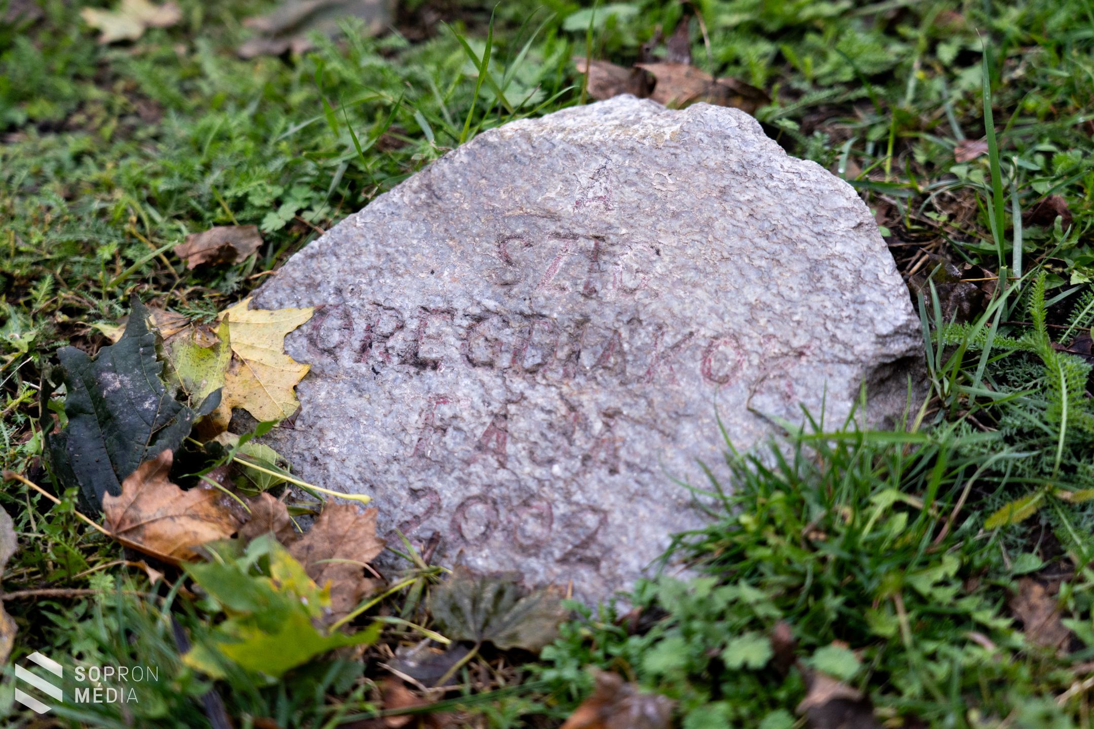 Faültetéssel emlékeznek a Széchenyi Öregdiákokra