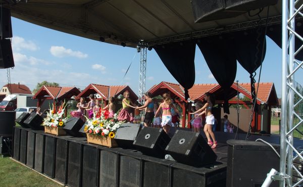 25. Falunap 2014. augusztus 9.