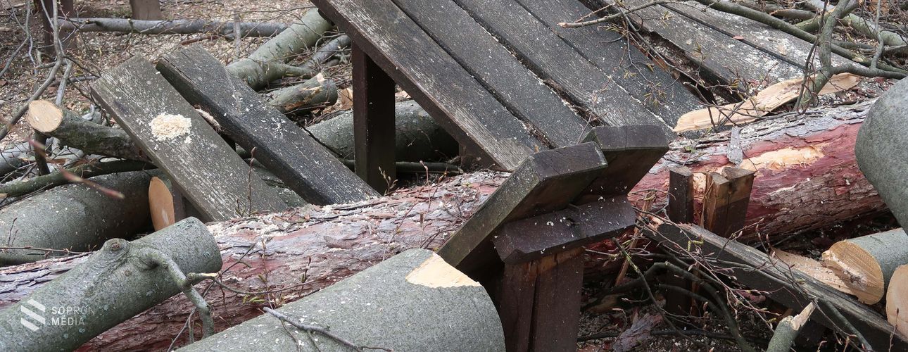 Katasztrófavédelem: megérkezett a Ciara nevű viharciklon Magyarország fölé