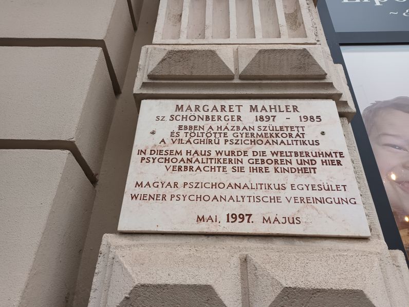 Egy kiváló hölgy, aki Sopronból indult útjára és megújította a pszichoanalitika tudományát