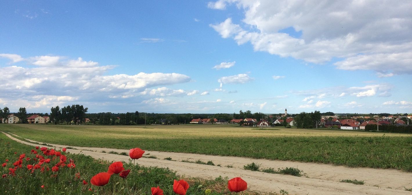 Miért éppen a Fertő-táj? Látnivalók, kirándulóhelyek, természet és vidéki báj - 1. rész