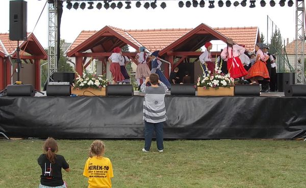 23. Falunap 2012. augusztus 11.