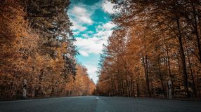 Ezekre figyeljen, ha autóval indul útnak!