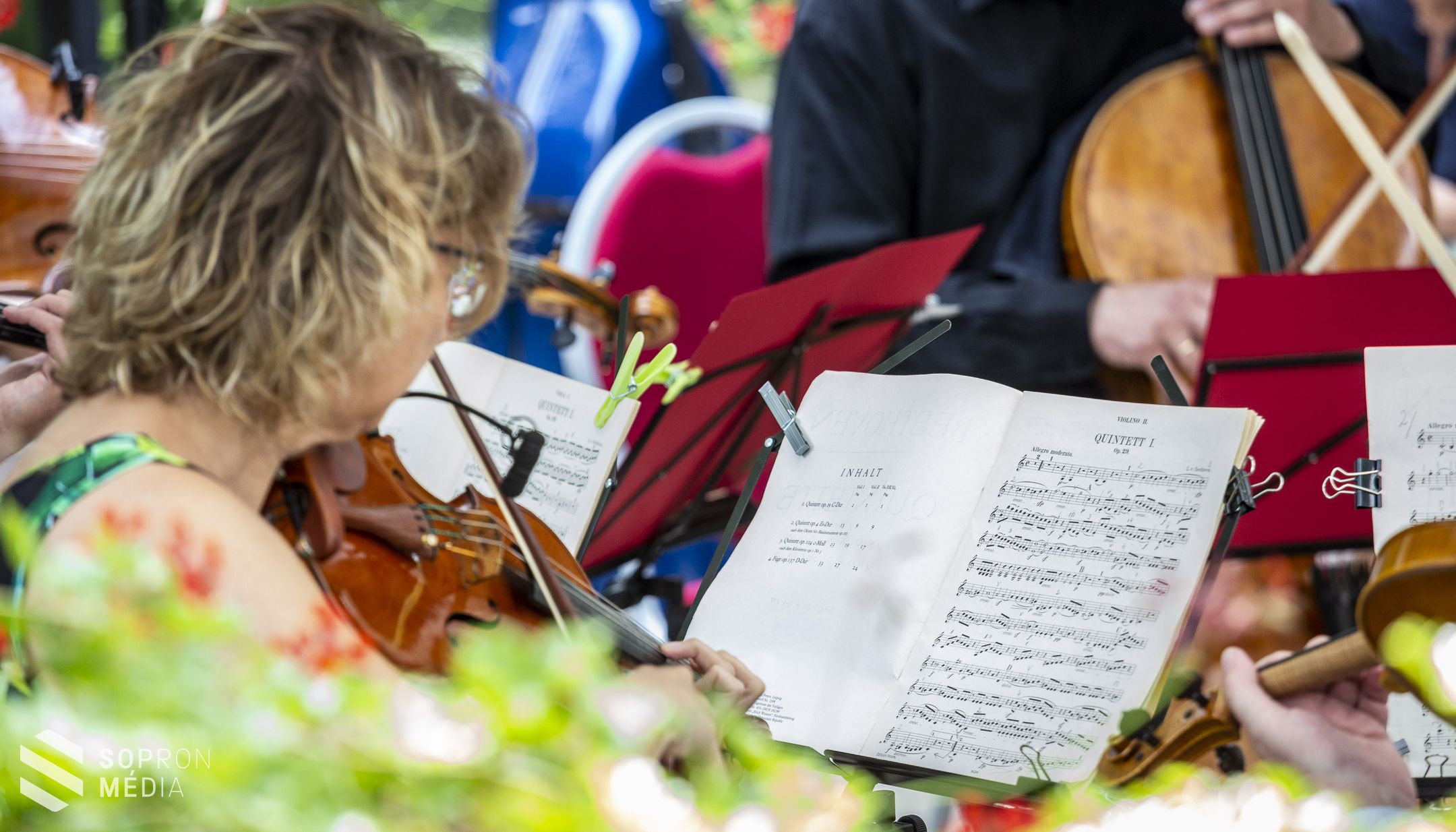 Beethoven a szabadban